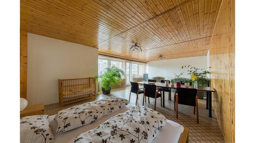 Apartman Vrane Vrané nad Vltavou Buitenkant foto